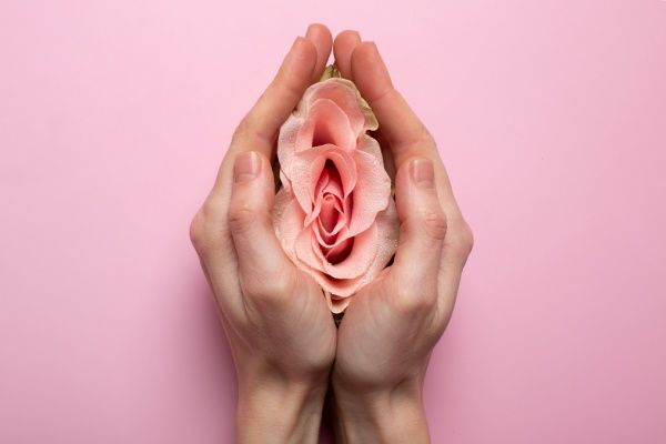 Rosa representando o aparato reprodutor feminino