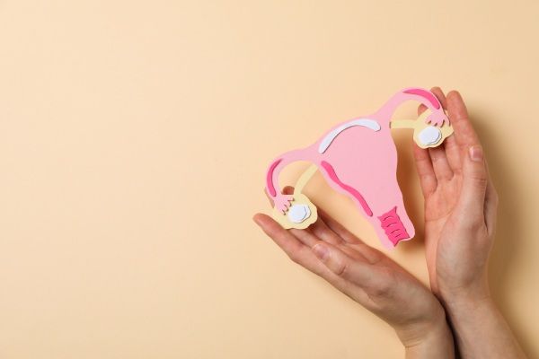 Saúde da mulher e conceito de saúde da mulher com útero